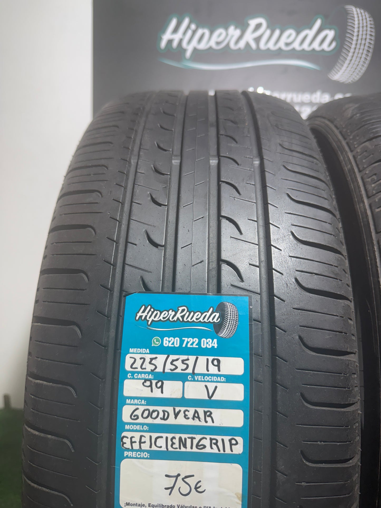 225 55 19 99V GOODYEAR EFFICIENT GRIP